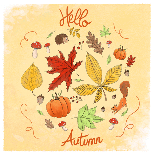 Carte Automne coloré avec écureuil et citrouilles Carte d'octobre