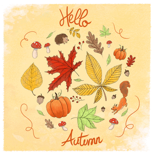 Carte Automne coloré avec écureuil et citrouilles Carte d'octobre