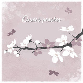 Carte Douces pens&eacute;es Carte condoléances