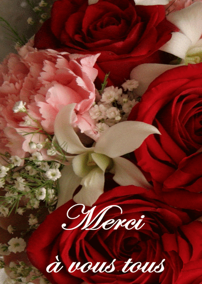 Carte Grosses roses remerciement mariage Carte remerciement mariage