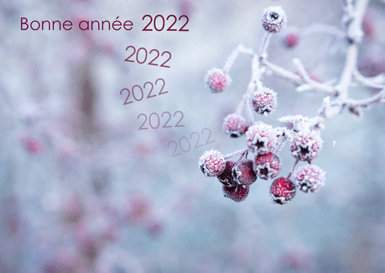 Carte de voeux bonne année 2021 Carte de voeux 2022