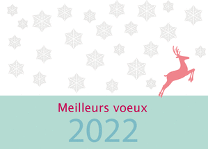 Carte Flocons meilleurs voeux 2021 Carte de voeux originale pour 2021
