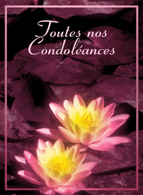 Carte Toutes nos condoléances Carte condoléances fleurs