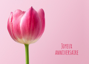 Carte Joyeux anniversaire avec des tulipes Carte anniversaire fleurs