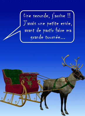 Humoristique Carte De Noël
