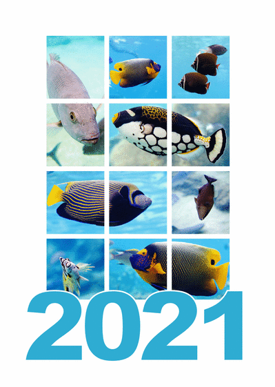 Carte Bonne année 2021 dans un aquarium Carte de voeux 2021