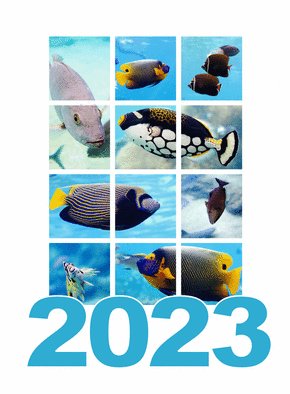 Carte bonne année 2023 dans un aquarium Carte de voeux 2023 