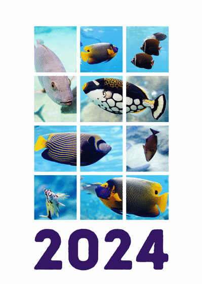 Carte bonne année 2024 dans un aquarium Carte de voeux 2024 