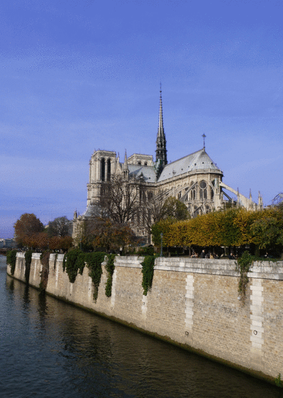 Carte Notre Dame de Paris vue des quais de Seine Carte postale de Paris