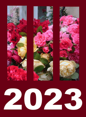 Carte  de voeux 2023 avec des fleurs Carte de voeux 2023 avec des fleurs