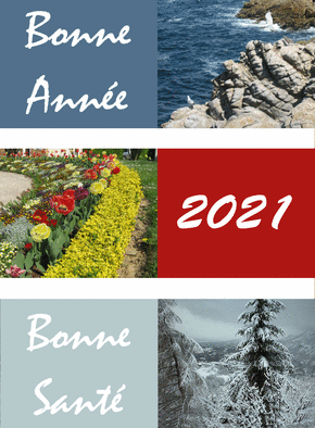 Carte bonne année 2021 Bonne santé Carte de voeux classique 2021
