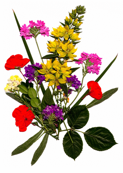 Carte Bouquet de toutes couleurs Carte fête des mères avec des fleurs