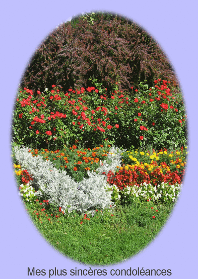 Carte Sincères condoléances jardin fleuri Carte condoléances fleurs