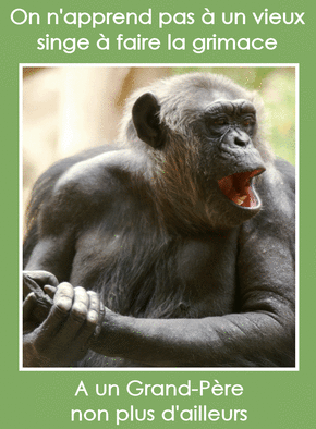 Carte On n'apprend pas à un vieux singe à faire la grimace Carte fête des Grands-pères humour