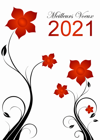 Carte Meilleurs voeux 2021 sobres Carte de voeux entreprise originale 2021
