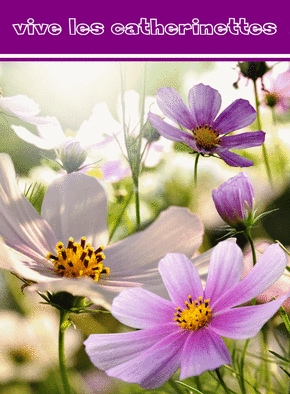 Carte Fleur violette, vive les catherinettes Carte sainte Catherine