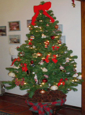 Carte Sapin de noel Carte de noel