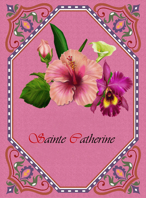 Carte Sainte Catherine sur un fond rose Carte sainte Catherine
