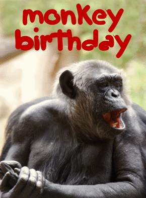 Carte Monkey Bithday Carte anniversaire humour