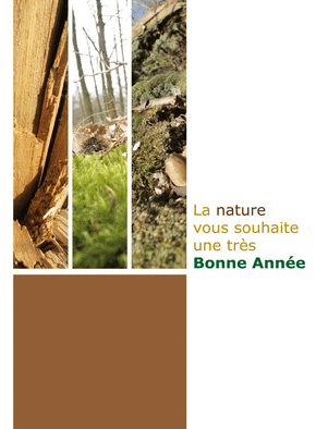 Carte La nature souhaite une très bonne année 2021 Carte de voeux personnalisable 2021