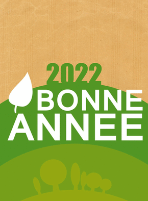 Carte Une bonne année 2021 verte Carte de voeux Nature 2022