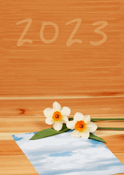 Carte Ecrire la nouvelle année 2023  Carte de voeux 2023 avec des fleurs
