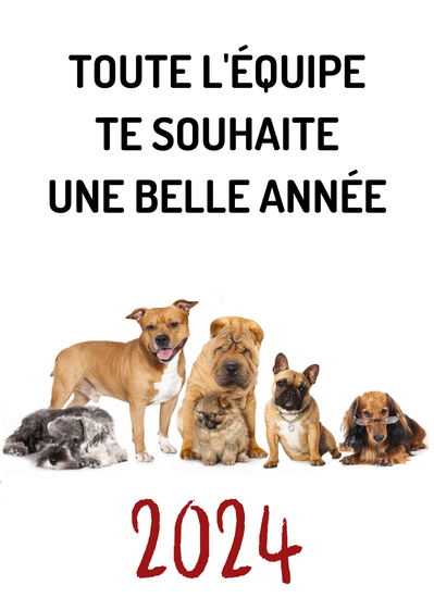 Carte Belle année de l`équipe des chiens Carte de voeux entreprise humour 2024