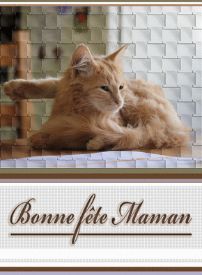 Carte Bonne fête maman avec nu chat roux Carte fête des mères avec des animaux