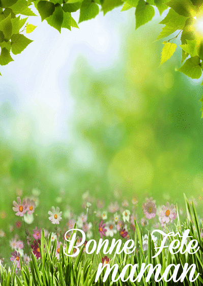 Carte Bonne fête maman dans une prairie Carte bonne fête maman personnalisée