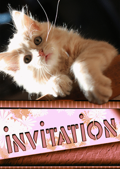 Carte Invitation avec un petit chat roux Carte d'invitation divers