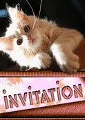 Invitation avec un petit chat roux