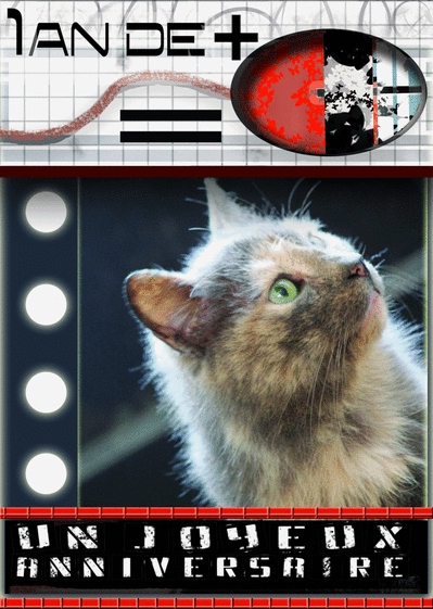Carte Un an de plus avec un chat Carte anniversaire chat