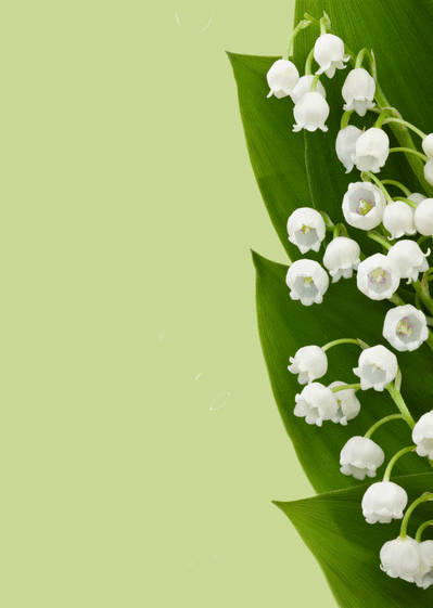 Carte Des brins de muguet à personnaliser Carte 1er mai