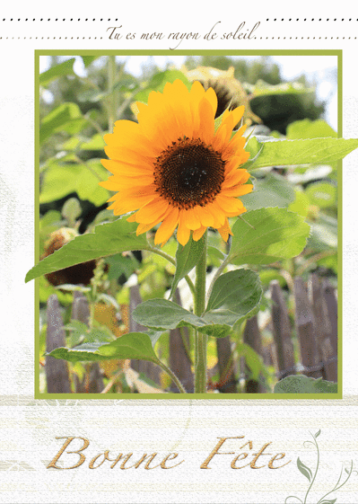 Carte Tu es mon rayon de soleil Carte fête des mères avec des fleurs