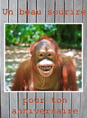 Carte Le sourire du singe pour ton anniversaire Carte anniversaire humour