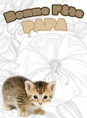 Carte Bonne fête papa petit chaton Carte fête des pères et animaux