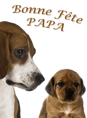 Carte Deux petits chiens pour papa Carte fête des pères et animaux