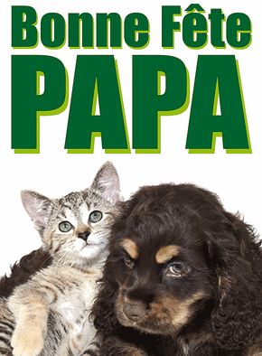 Carte Un chien et un chat bonne fête papa Carte fête des pères et animaux