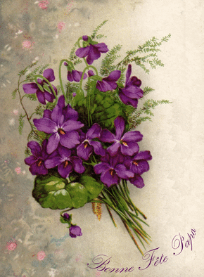 Carte Bonne fête papa et fleurs violettes Carte ancienne fête des pères