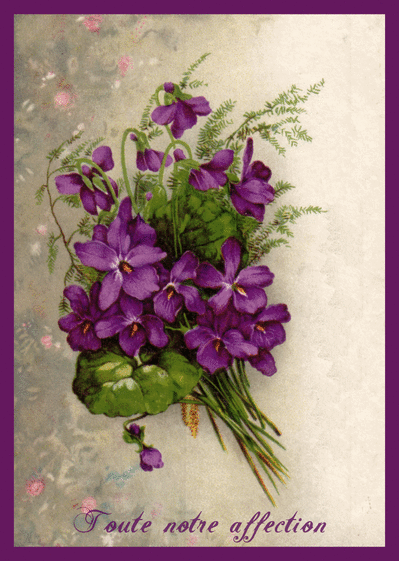 Carte Condoléances ancienne et fleurs violettes Carte condoléances ancienne
