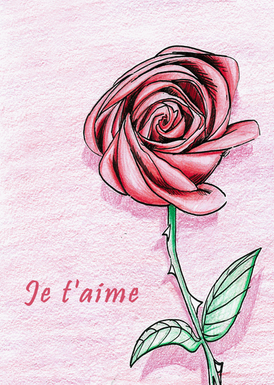 Carte Je t'aime dessin d'une rose Carte saint valentin