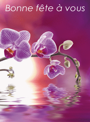 Carte Bonne fête à vous et orchidée Carte bonne fête avec des fleurs