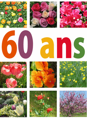Carte Plein de fleurs pour les 60 ans Carte anniversaire 60 ans