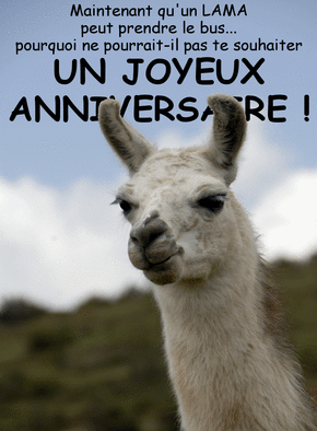 Carte Joyeux anniversaire du lama Carte anniversaire humour