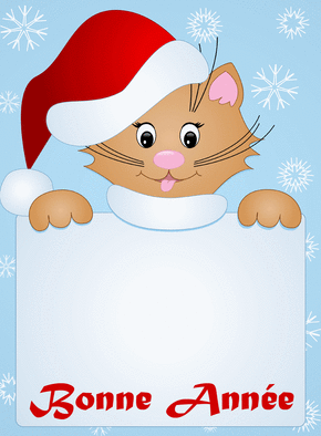 Carte Un chat et son bonnet personnalisable Carte de voeux personnalisable 2022