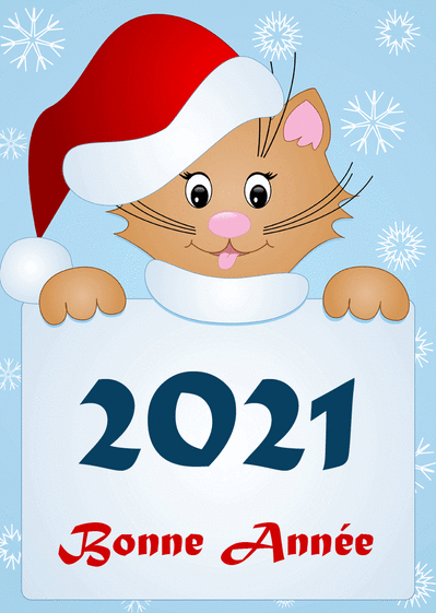 Carte Le chat et son bonnet pour une bonne année 2021 Carte de voeux 2021 chat mignon