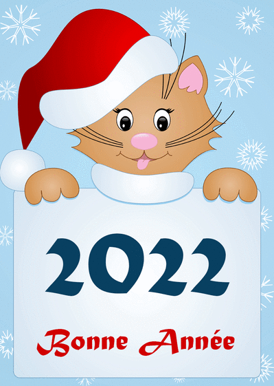 Carte Le chat et son bonnet pour une bonne année 2022 Carte de voeux 2022 chat mignon