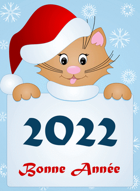 Carte Le chat et son bonnet pour une bonne année 2022 Carte de voeux 2022 chat mignon