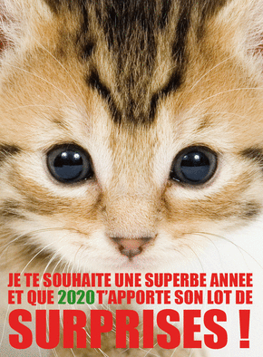 Une superbe ann&eacute;e et son lot de surprises