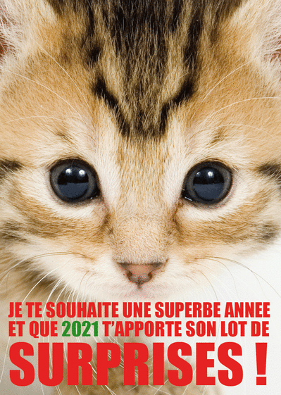 Carte Une superbe année 2021 et son lot de surprises Carte de voeux 2021 chat mignon